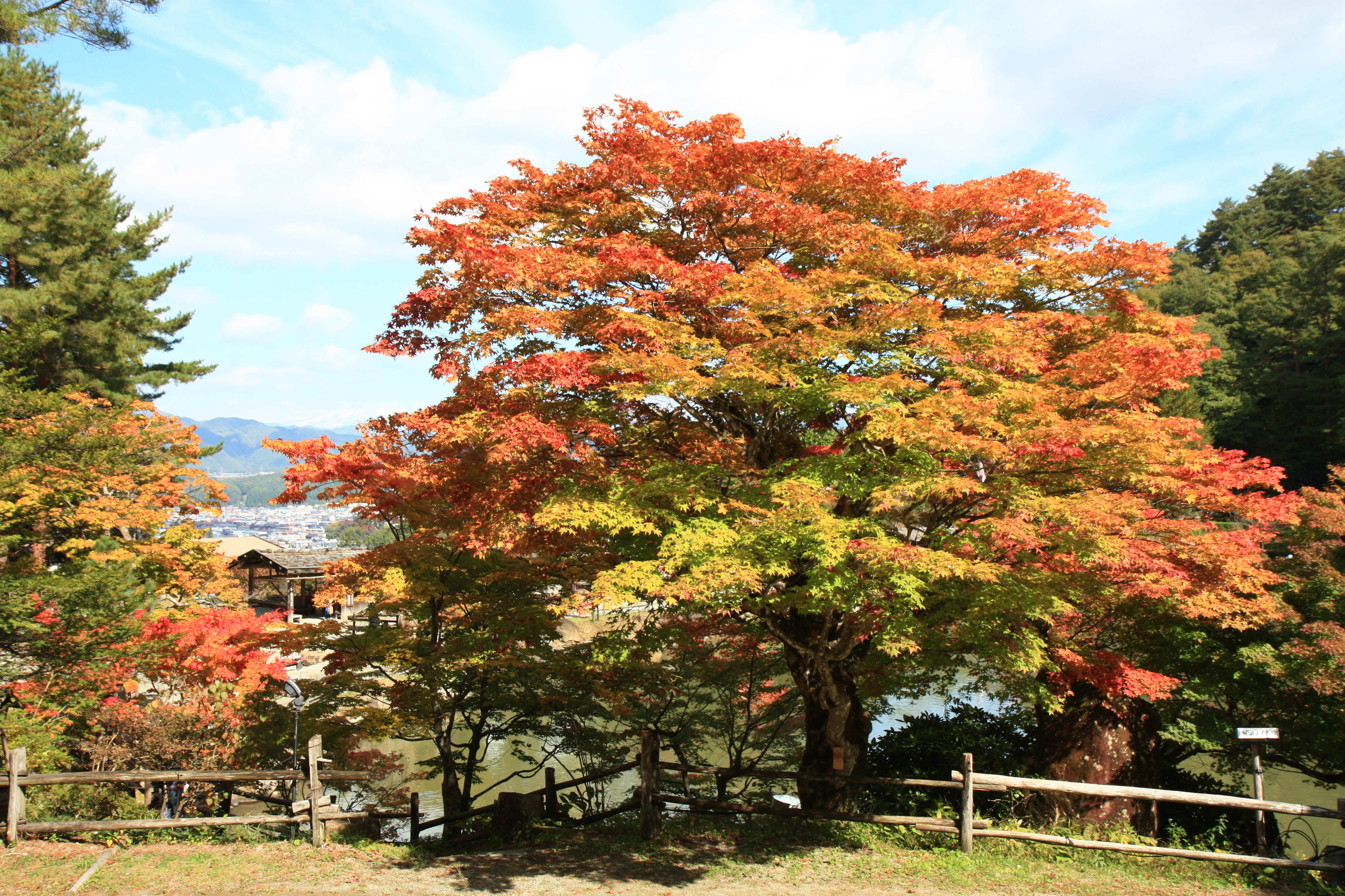 Takayama